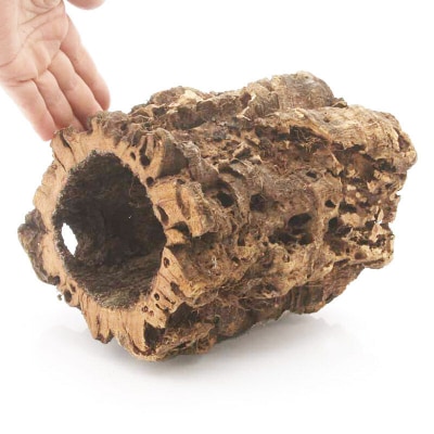 形状お任せ 筒型コルク Mサイズ 長さ15cm エアプランツ|09_chm-cl0101ca