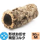形状お任せ 筒型コルク Mサイズ 長さ30cm エアプランツ|09_chm-cl0101cb
