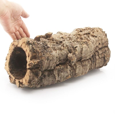 形状お任せ 筒型コルク Mサイズ 長さ30cm エアプランツ|09_chm-cl0101cb