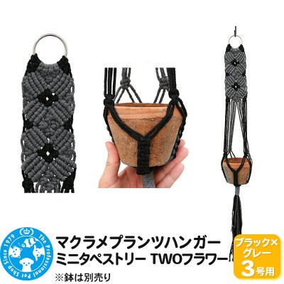 マクラメプランツハンガー ミニタペストリー TWOフラワー 3号用|09_chm-d30101al