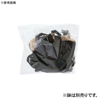 マクラメプランツハンガー 流木付き葉っぱモチーフコットンロープ|09_chm-d50101ac