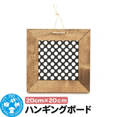 ハンギングボード 20×20 インテリアプランツ 壁掛け ウッドフレーム|09_chm-cr0101