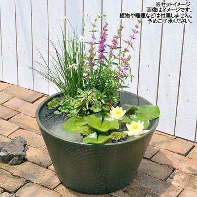 睡蓮鉢 メダカ鉢 金魚鉢 直径44cm 高さ25cm 軽量2kg|09_chm-cs0101c
