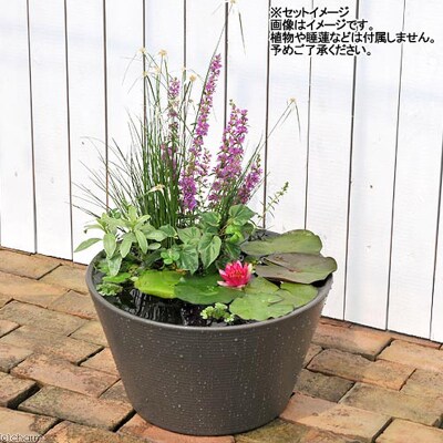 睡蓮鉢 メダカ鉢 金魚鉢 直径44cm 高さ25cm 軽量2kg|09_chm-cs0101d