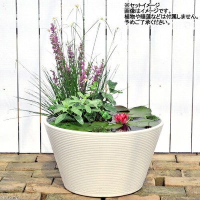 睡蓮鉢 メダカ鉢 金魚鉢 直径44cm 高さ25cm 軽量2kg|09_chm-cs0101e