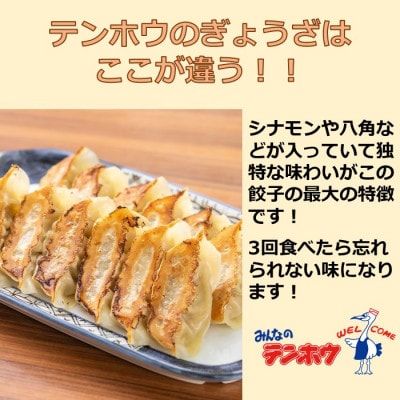 テンホウのぎょうざ56ケ入り3袋