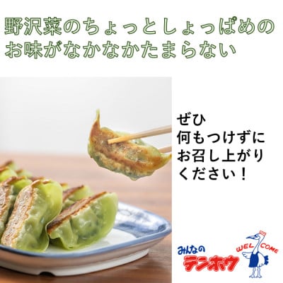 野沢菜漬けぎょうざ12粒入り3パック[冷凍]