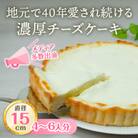 チーズケーキ アントルメ 5号