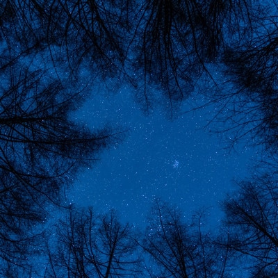 『霧ヶ峰で神秘的な夜を体験!満月・星空ナイトハイキング』ツアー参加券2名様分