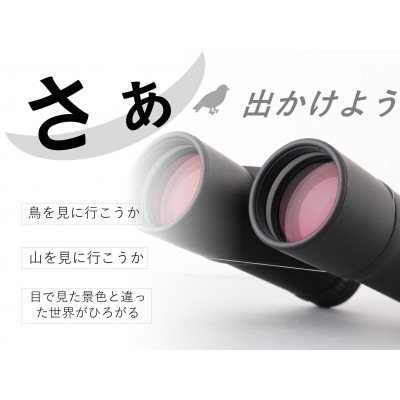 双眼鏡　8×42　1台