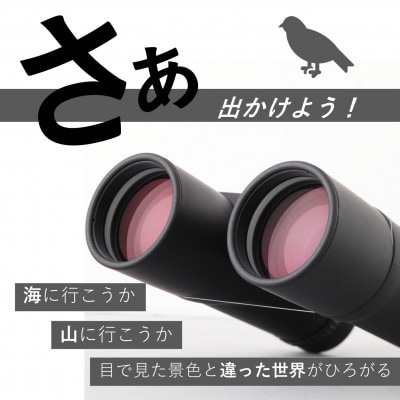 双眼鏡　8×42　1台