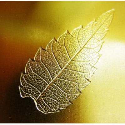 人肌 -煌-(きらめき)(酒器)ゴールド