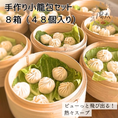 手造り小籠包セット 48個(6個入×8箱)/ぱおず屋陽太