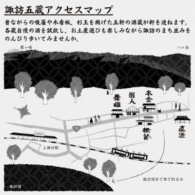【諏訪五蔵】 真澄 MIYASAKA シリーズ 飲み比べ セット 1800ml×4本