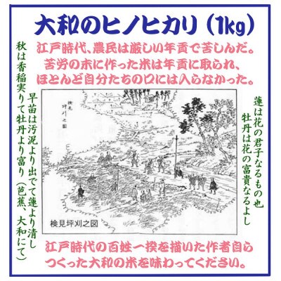 大津皇子の小説等郷土本と作者自作の米1kg