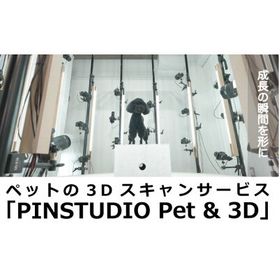 ペットの3Dスキャンと3Dフルカラープリントによる造形(フィギュア)長辺13cm