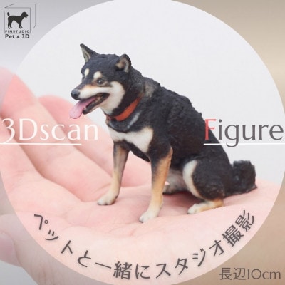ペットの3Dスキャンと3Dフルカラープリントによる造形(フィギュア)長辺10cm