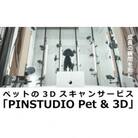 ペットの3Dスキャンと3Dフルカラープリントによる造形(フィギュア)長辺7cm