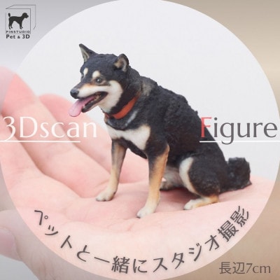 ペットの3Dスキャンと3Dフルカラープリントによる造形(フィギュア)長辺7cm