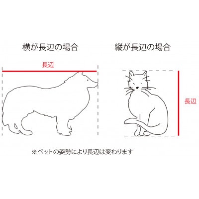 ペットの3Dスキャンと3Dフルカラープリントによる造形(フィギュア)長辺7cm