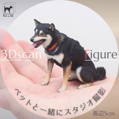 ペットの3Dスキャンと3Dフルカラープリントによる造形(フィギュア)長辺5cm