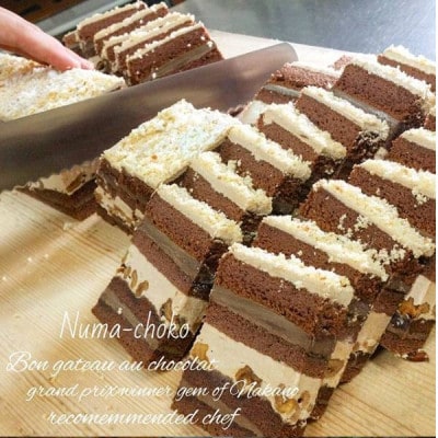 沼袋名物しっとりチョコレートケーキ「沼チョコ」9個入り