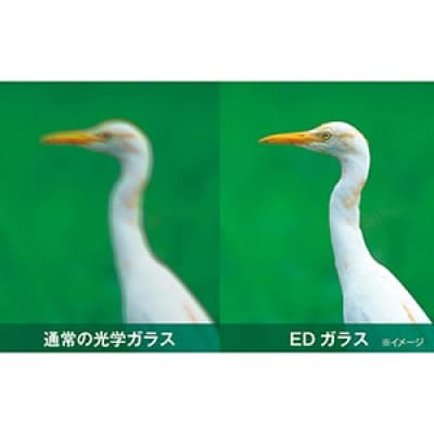 ケンコー双眼鏡 アバンター 8×25 ED DH AVT-0825E 4961607976517
