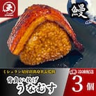 鰻の焼きおにぎり【うなぎ背負い投げ】うなむす　計3個
