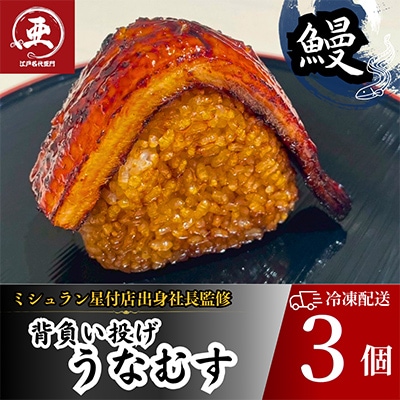 鰻の焼きおにぎり【うなぎ背負い投げ】うなむす　計3個