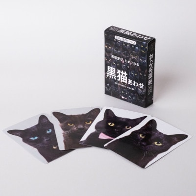 難易度MAXのツンデレ仕様!黒猫あわせ