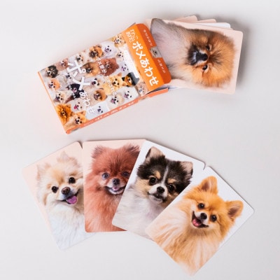 もふもふポメラニアンが大集合!ポメあわせ