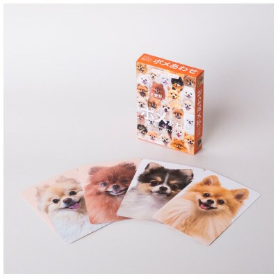 もふもふポメラニアンが大集合!ポメあわせ