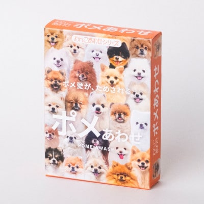 もふもふポメラニアンが大集合!ポメあわせ