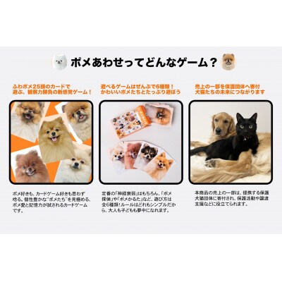 もふもふポメラニアンが大集合!ポメあわせ