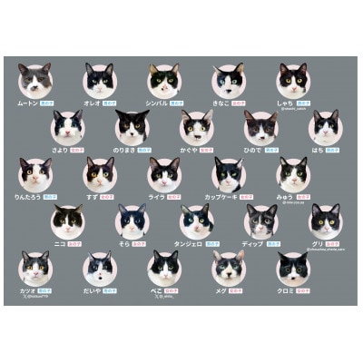 白黒つけない平和なゲーム!ハチワレあわせ