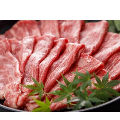 くまもと黒毛和牛　すき焼き用　500g(錦町)