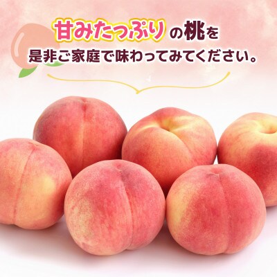 桃　約2kg(4～8玉)(錦町)