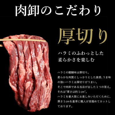 厚切り牛ハラミステーキ&厚切り牛タンセット合計1kg(錦町)