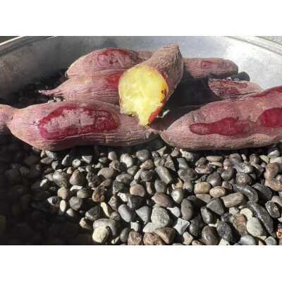 あぐり税所の「からいも」紅はるか5kg