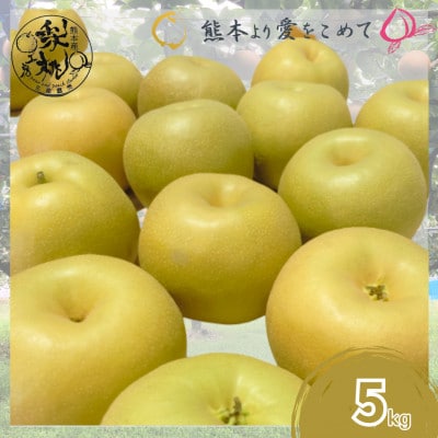 梨桃工房の梨5kg(豊水・あきづき・新高・新興その他)