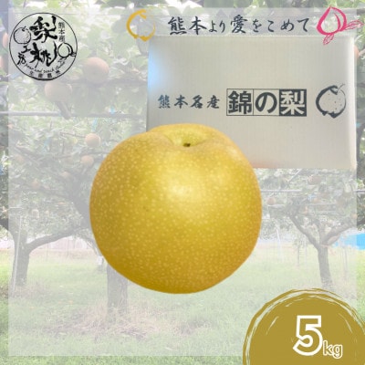 梨桃工房の梨5kg(豊水・あきづき・新高・新興その他)