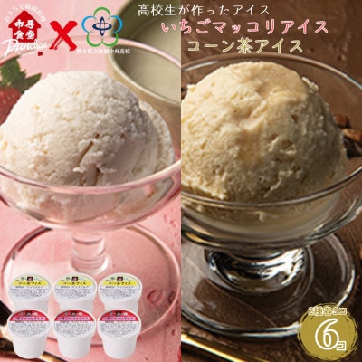 球磨中央高校 高校生が作った いちごマッコリアイス コーン茶アイス 各3コ 計6コ 【市房食堂】