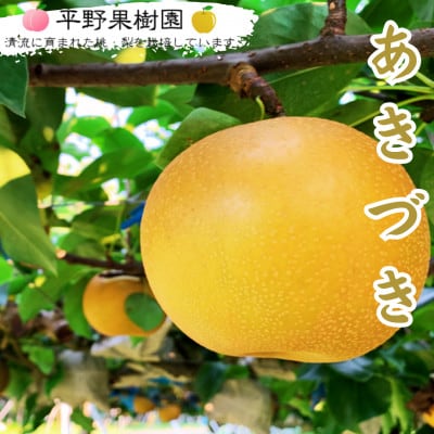 【先行予約】 熊本県 錦町 平野果樹園 清流球磨梨  5kg