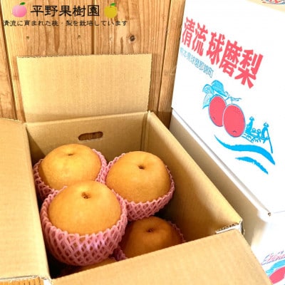 【先行予約】 2025年発送 錦の梨 清流錦 梨 3kg 【平野果樹園】