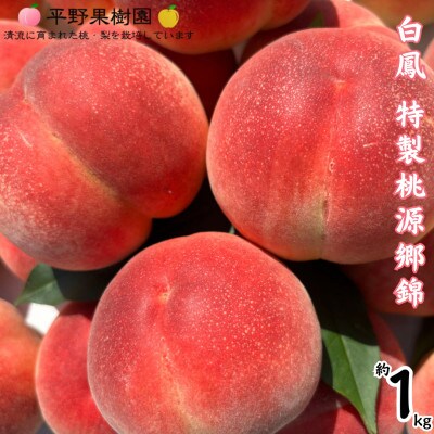 【先行予約】2025年発送 熊本県 錦町 白桃 白鳳 1kg 桃源郷錦【平野果樹園】