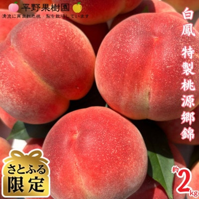 【数量限定】【さとふる限定】熊本県 錦町 白桃 白鳳 2kg 桃源郷錦【平野果樹園】