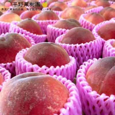【数量限定】【さとふる限定】熊本県 錦町 白桃 白鳳 2kg 桃源郷錦【平野果樹園】