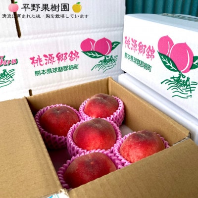 【数量限定】【さとふる限定】熊本県 錦町 白桃 白鳳 2kg 桃源郷錦【平野果樹園】