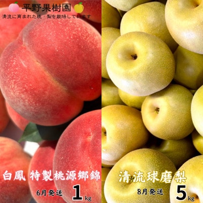 【発送月固定定期便】6月 特製桃源郷錦 約1kg/ 8月 清流錦梨 約5kg全2回