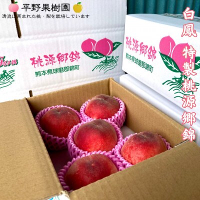 【発送月固定定期便】6月 特製桃源郷錦 約1kg/ 8月 清流錦梨 約5kg全2回